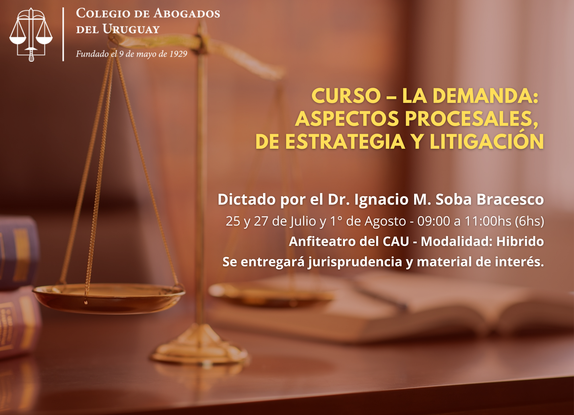 La Demanda: Aspectos Procesales, de Estrategia y Litigación