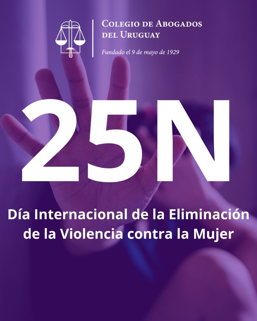 COMUNICADO: 25 de noviembre, Día Internacional de la Eliminación de la Violencia contra la Mujer